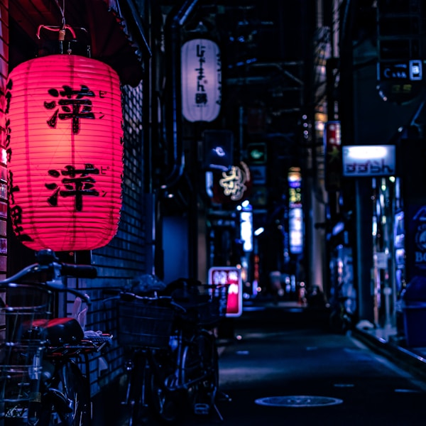 Aoi, A Japanese local in Dubai