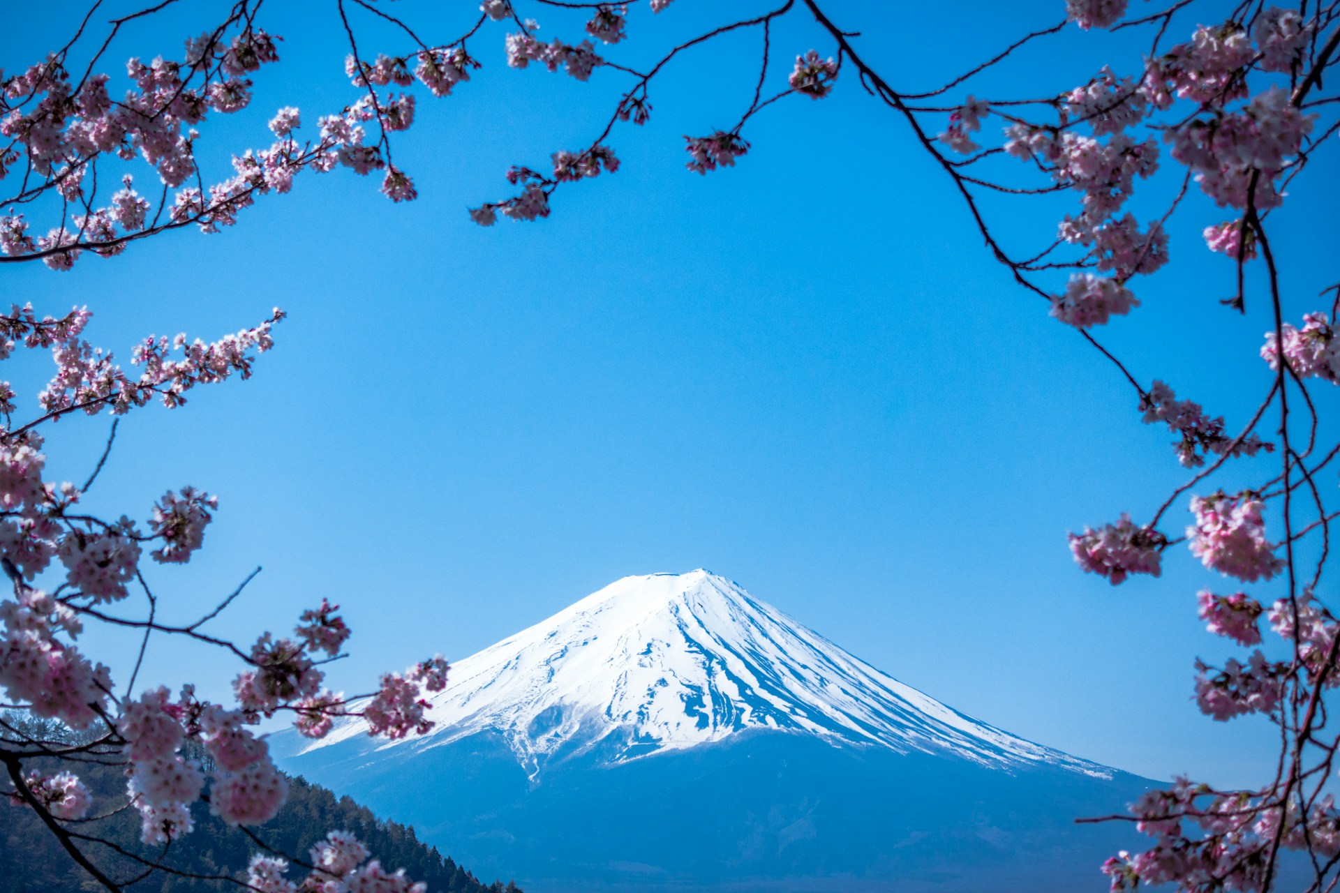 Japan eVisa for UAE Residents: The Complete 2026 Guide